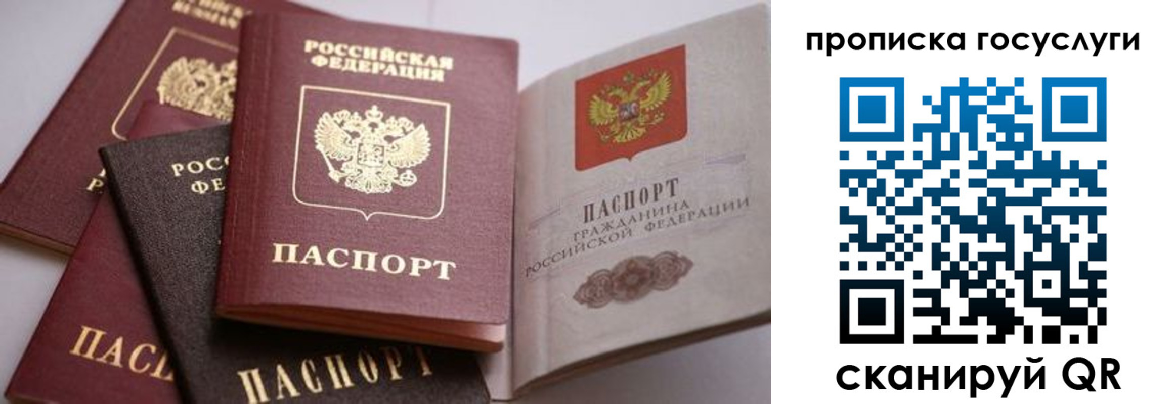 прописка иностранных граждан в Боготоле